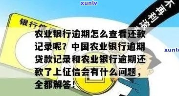 农业信用卡逾期还款记录查询，如何查询农业银行信用卡欠款金额和还款日期？