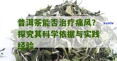 普洱茶：一种对痛风有益的天然疗法吗？