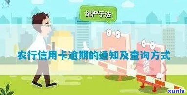 农业信用卡逾期怎么查询