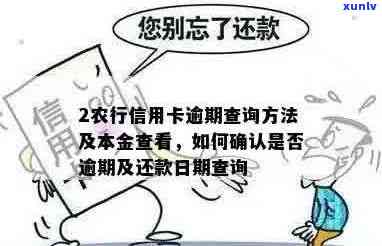 农业信用卡逾期怎么查询