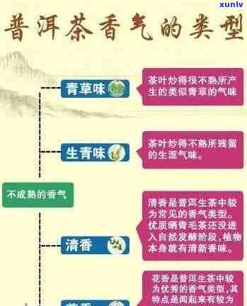 普洱茶的香气特点及其科学解析