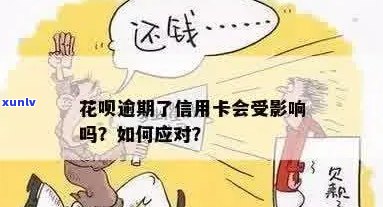 花呗逾期与信用卡透支的后果及其解决 *** ，全面解答用户疑问