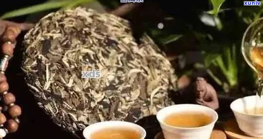 乾年间普洱茶：历背景、品质特点、冲泡 *** 与品鉴技巧全方位解析