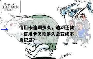 信用卡逾期还款期限：何时被视为不良记录？