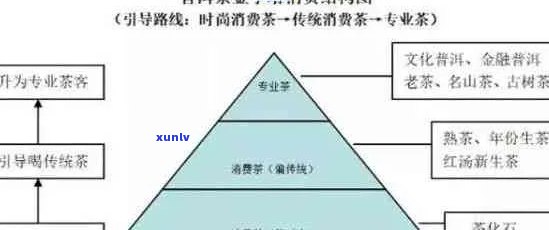 普洱茶的多渠道营销策略：从传统市场到数字世界的探索与实践