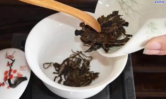 普洱熟茶用什么壶泡：探究最适合的泡茶器具