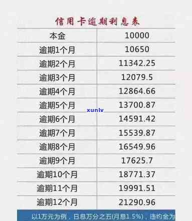 5月信用卡逾期情况