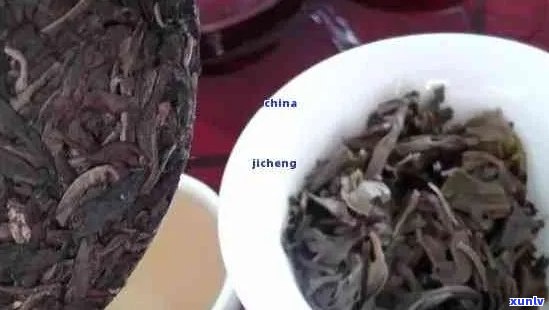 普洱茶老茶白点是否影响饮用？如何判断？