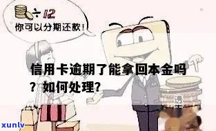 信用卡本金逾期4年未还款，如何解决信用问题和追回欠款？