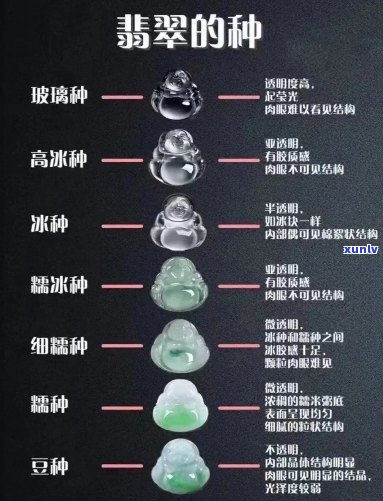 翡翠种水区分价格