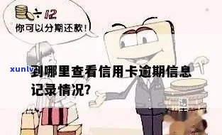 如何查看信用卡的逾期情况和信息？