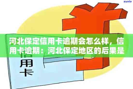 保定信用卡逾期还款地点查询，如何处理信用卡逾期问题？