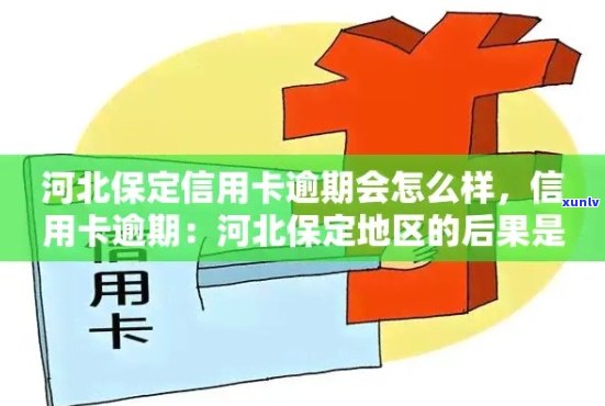 全面解决保定信用卡逾期处理地点查询问题：了解各机构联系方式及应对策略