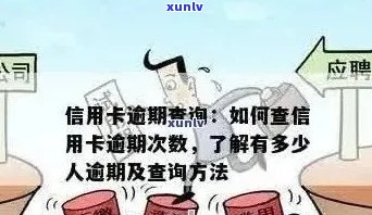 全面解决保定信用卡逾期处理地点查询问题：了解各机构联系方式及应对策略