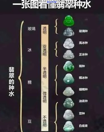 翡翠种水等级全面解析：从A到D,如何选购和评估？