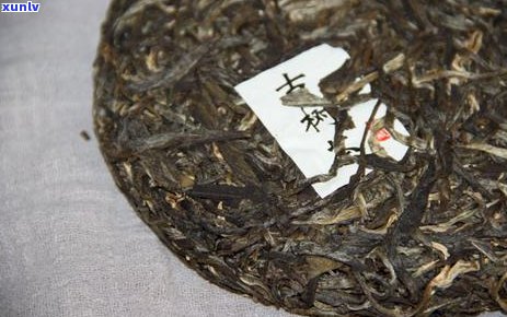 勐麻河普洱茶全面解析：品质、口感、功效与泡法，助您轻松选购与品鉴