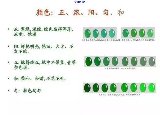 翡翠种水与颜色的详细解读：从色泽到透明度的全方位解析