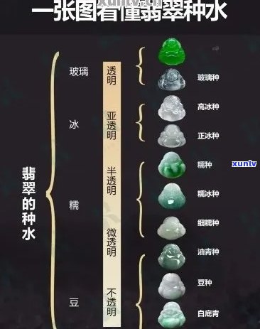 翡翠种水区别区别