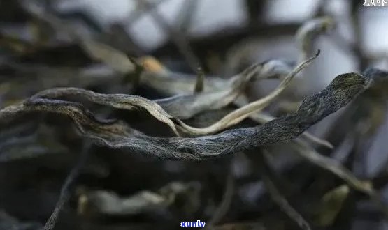 喝普洱茶舌头发麻,看完这7点就懂了-喝普洱茶舌头发麻,看完这7点就懂了正常吗