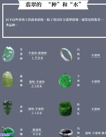 '翡翠种水厚度多少更好：探讨更佳观赏度与品质之间的关系'