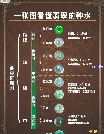 全面解析翡翠种水高低：了解影响因素与选购技巧，轻松成为翡翠专家