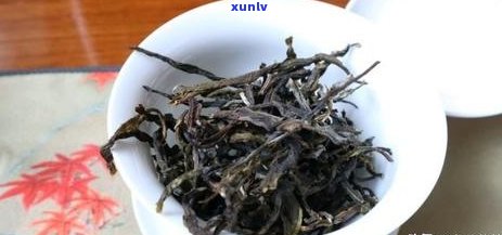 普洱茶喝的几泡