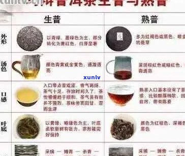 探寻浓香型普洱茶的丰富品种：从经典到新兴的与口感对比