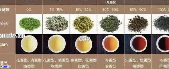 探寻浓香型普洱茶的丰富品种：从经典到新兴的与口感对比