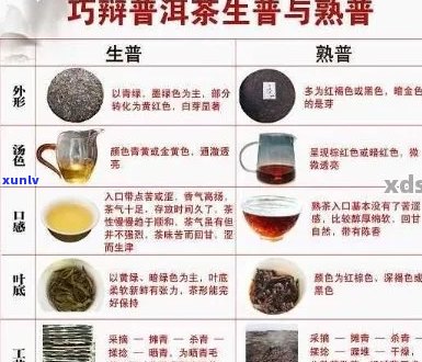 浓普洱茶的全面功效与作用：解密其营养价值、健益处和饮用 *** 