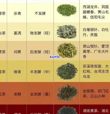 浓香型茶叶品种、及种类详解：从浓香型茶中品鉴不同风味