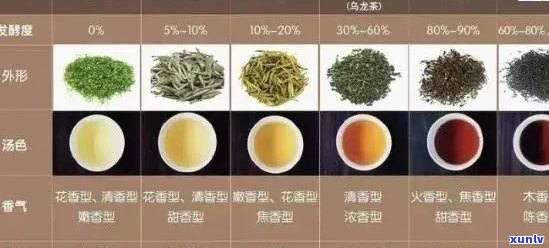 浓香型茶叶品种、及种类详解：从浓香型茶中品鉴不同风味