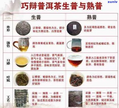 全面了解马菁普洱茶：品质、口感、冲泡 *** 与收藏技巧，解答你的所有疑问