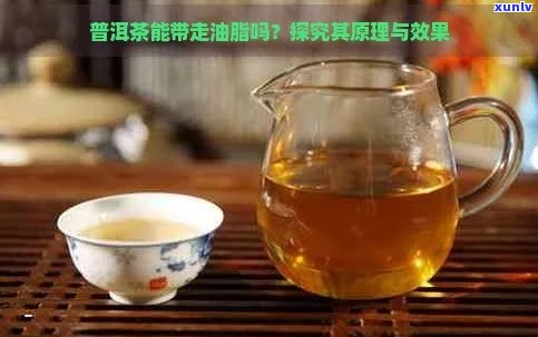 普洱茶对排尿和去油作用的研究分析