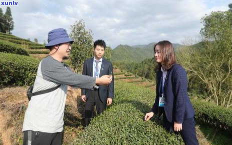 福建厦门产茶叶吗？现在有最新消息吗？还有哪些特产茶叶？