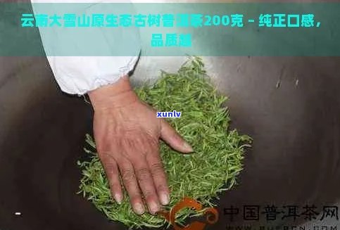 云南大黑山高山茶叶：绿色生态品质之选