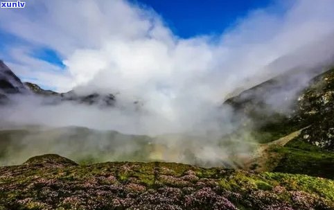 云南红河大黑山：探索神秘的自然奇观与丰富的生态资源