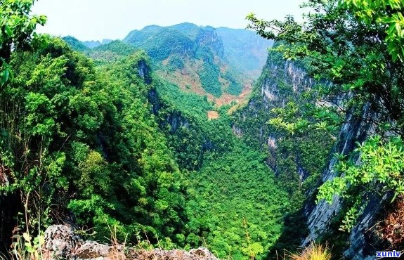 云南红河大黑山：探索神秘的自然奇观与丰富的生态资源