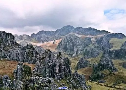 云南红河大黑山：探索神秘的自然奇观与丰富的生态资源