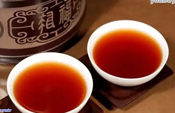 湖南优质熟普洱茶供应商：为您提供全面了解、选购及品鉴指南