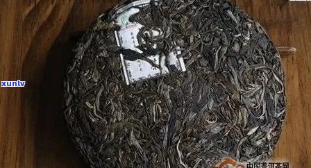 为什么普洱茶有浮物味道？