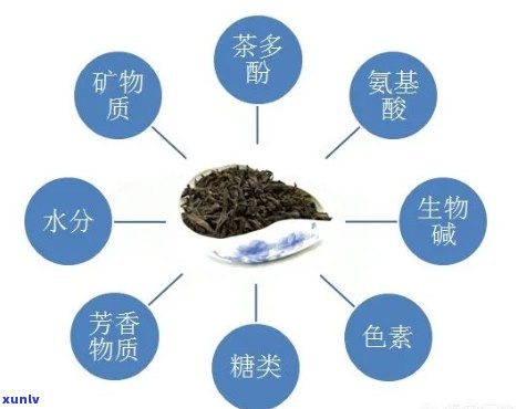 普洱茶的健益处：对心血管系统的影响与研究