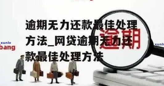 信用卡逾期、首付贷款受限？解决方案一网打尽！