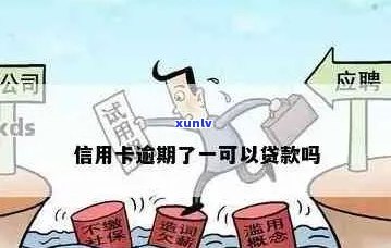 信用卡逾期、首付贷款受限？解决方案一网打尽！