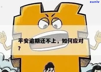 平安信用卡逾期退费处理全解析：可能的后果与应对策略