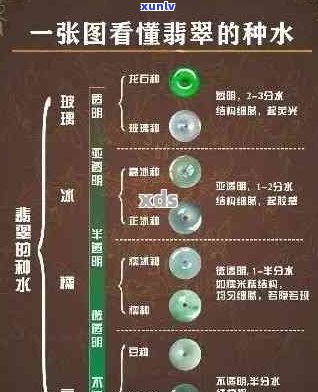 翡翠种水挂件价值与等级划分：探究翡翠内的种水现象