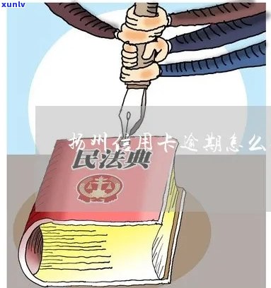 扬州提供信用卡逾期问题免费咨询