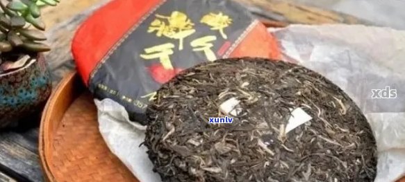 城普洱茶真实性疑虑：真的还是假的？