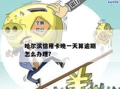 哈尔滨信用卡逾期一天有影响吗：处理建议与可能后果