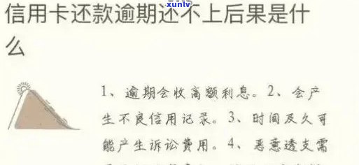 逾期信用卡账款查询全攻略：如何查询应还款项、解决逾期问题及降低罚息