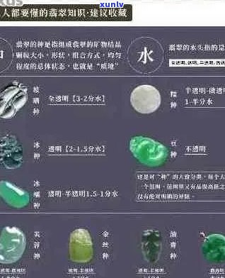 翡翠肉粗价值评估：专业鉴定与投资指南